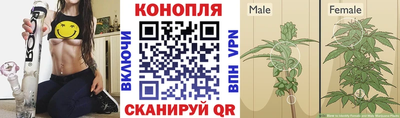 ОМГ ОМГ как войти  сколько стоит  Кемь  Бошки марихуана планчик 